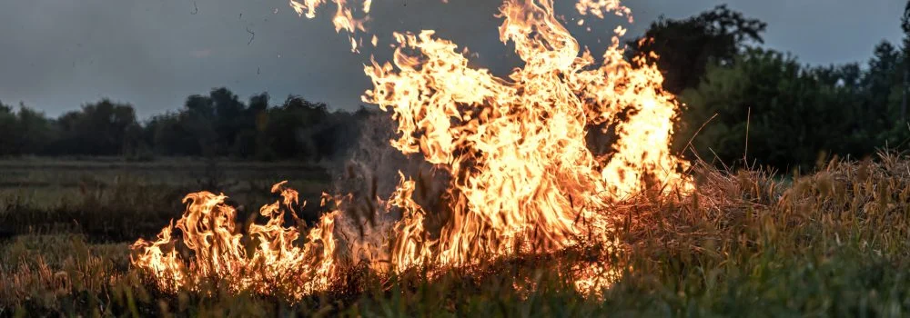 fire-prevention
